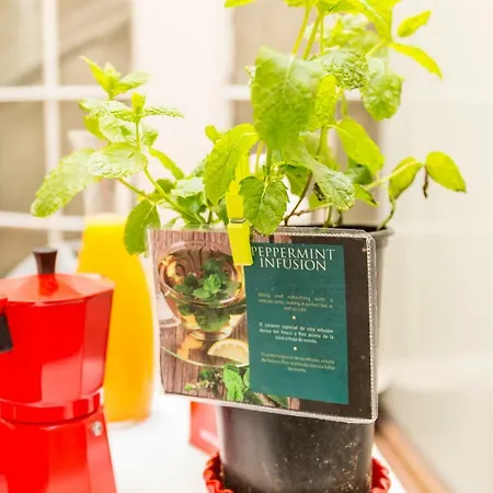 Opo Arte With Terrace And A/c * ポルト