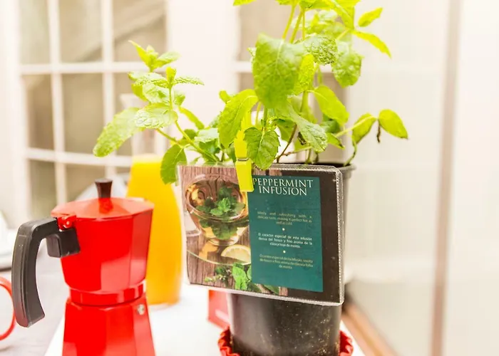 Opo Arte With Terrace And A/c * Porto