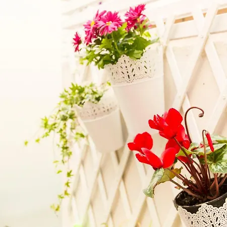 Opo Arte With Terrace And A/c Apartment *